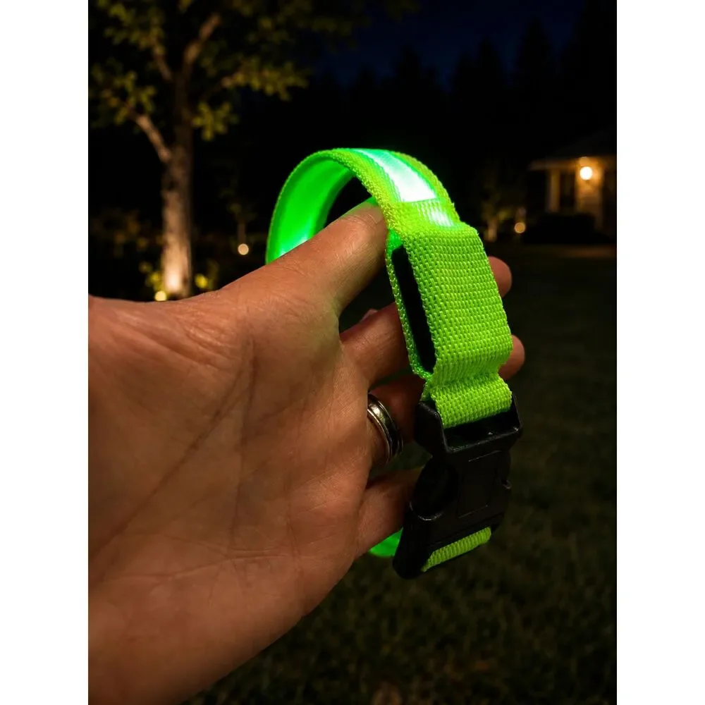 Green LED Dog Collar XL Light Up Flashing Night Safety Collar